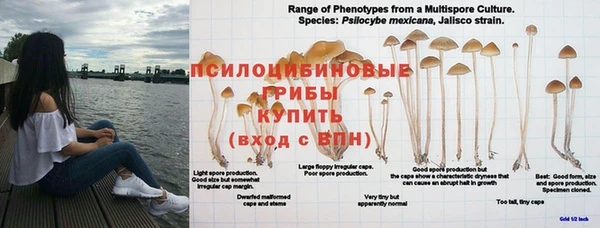 дмт Верхнеуральск